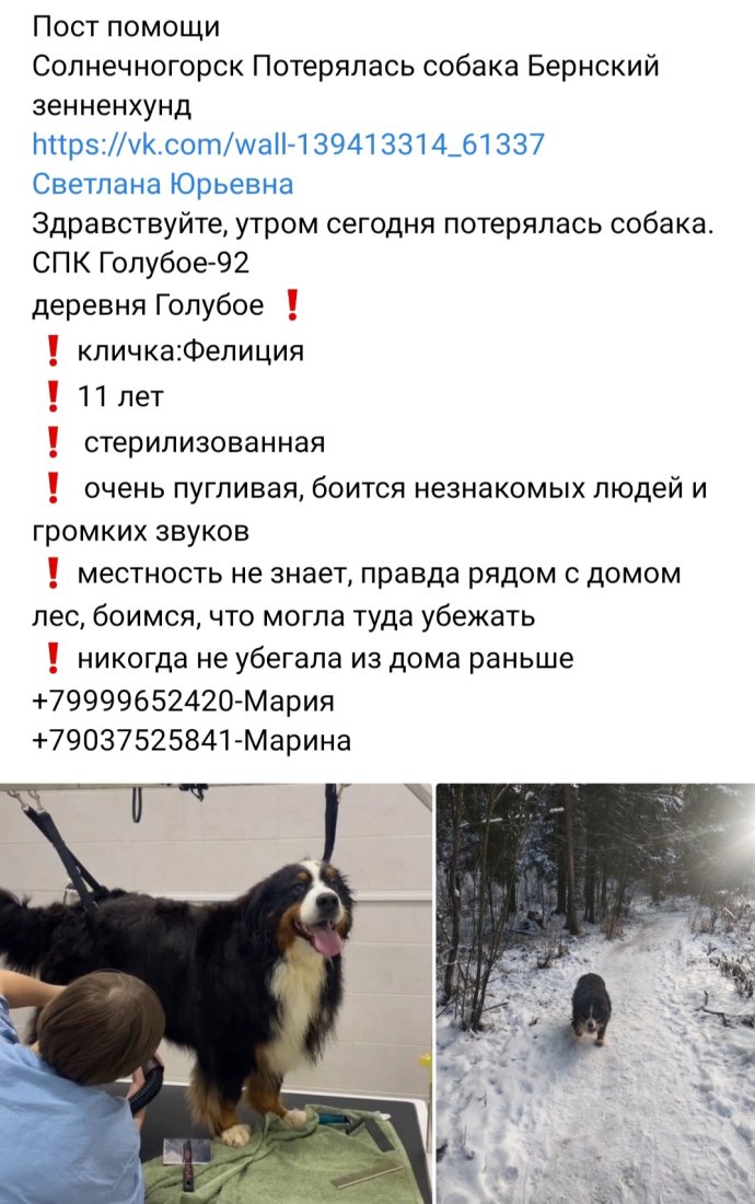 Screenshot_20240121_234613_VK.jpg