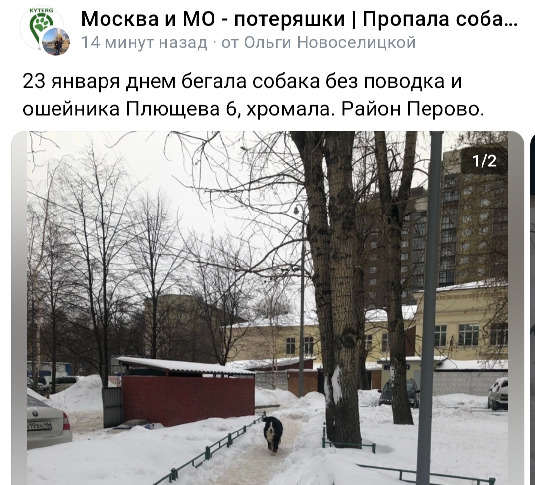 Screenshot_20240123_213023_VK.jpg