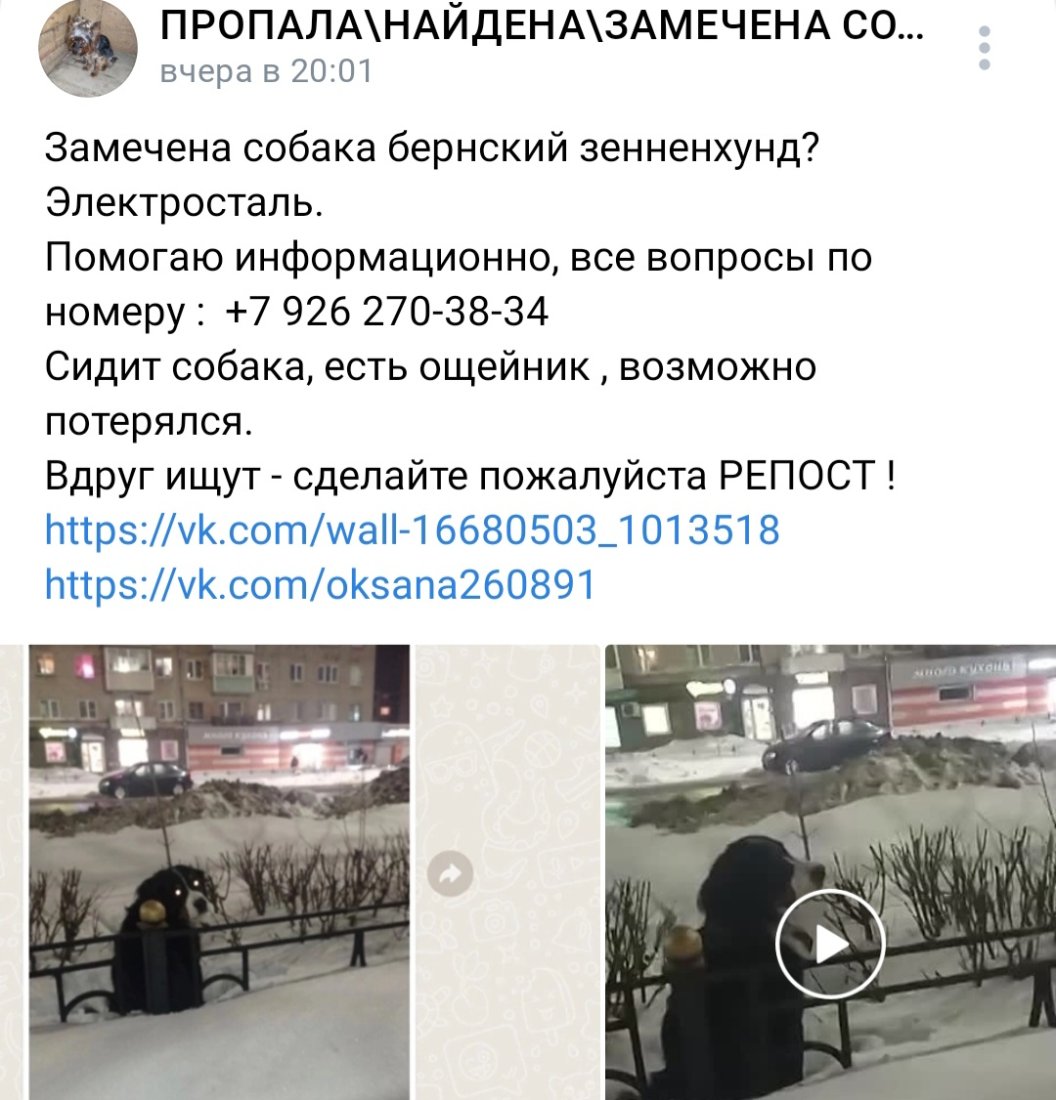 Screenshot_20240131_045929_VK.jpg
