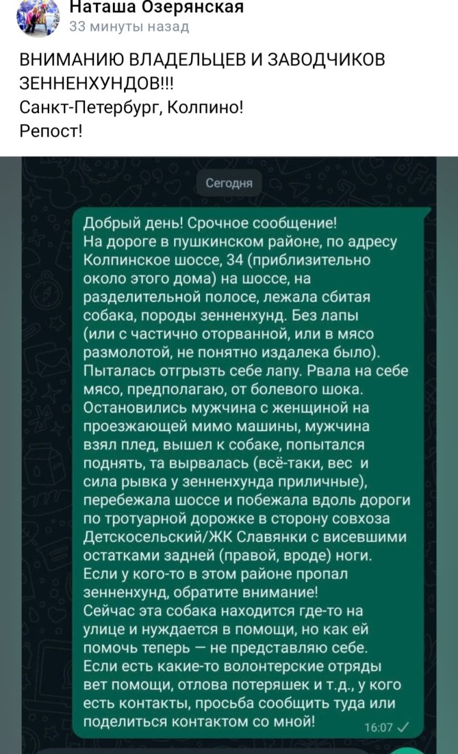 Screenshot_20240201_175206_VK.jpg