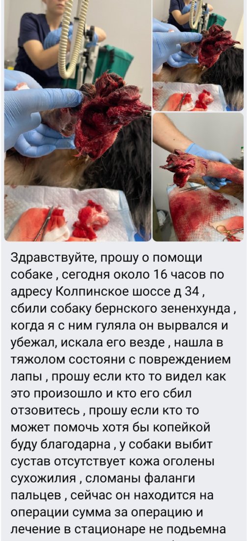 Screenshot_20240202_124156_VK.jpg