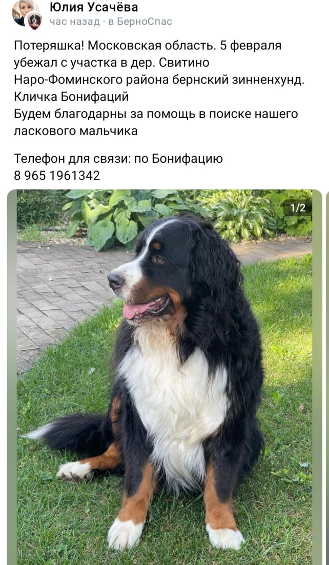 Screenshot_20240208_115417_VK.jpg