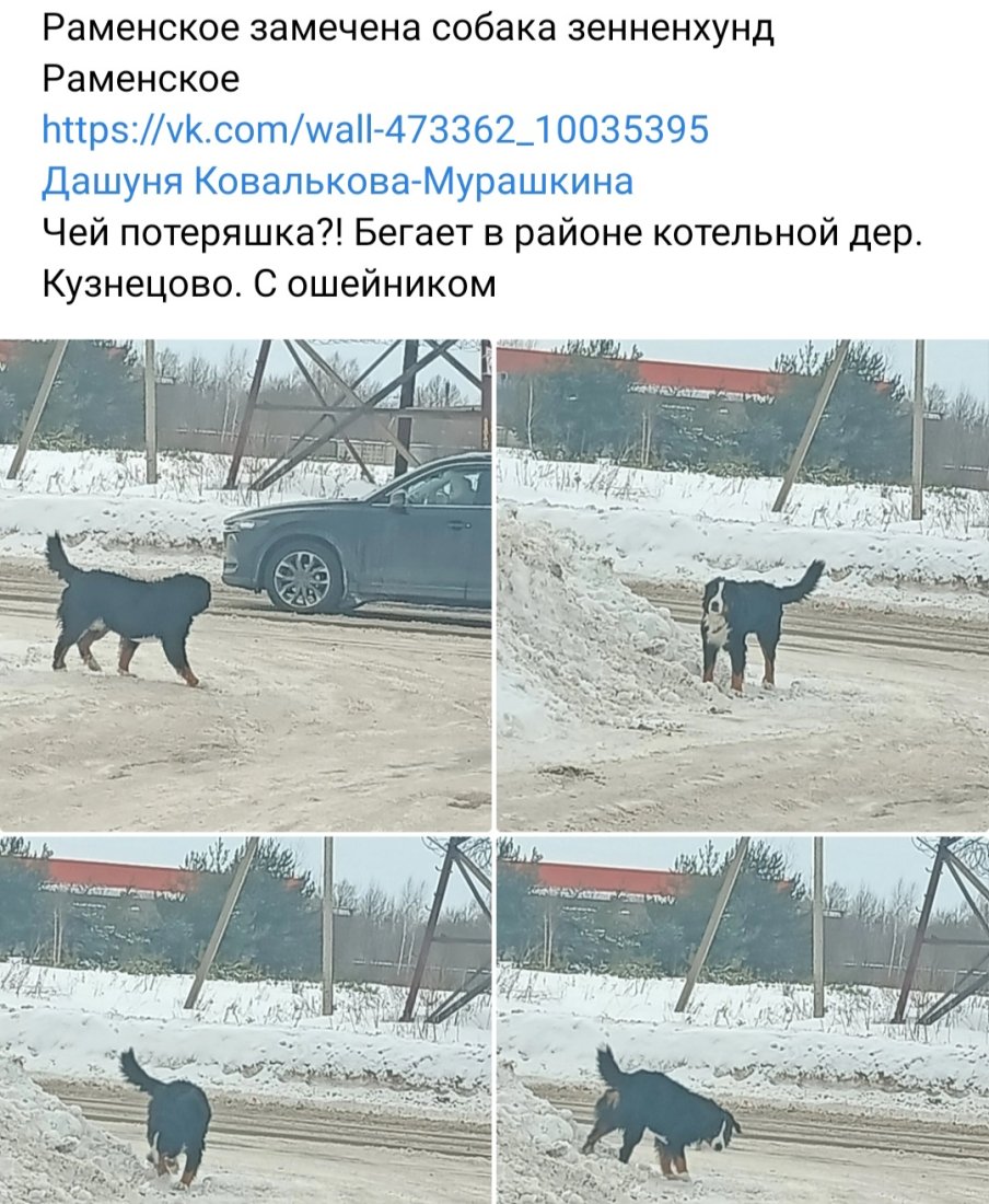 Screenshot_20240211_200622_VK.jpg
