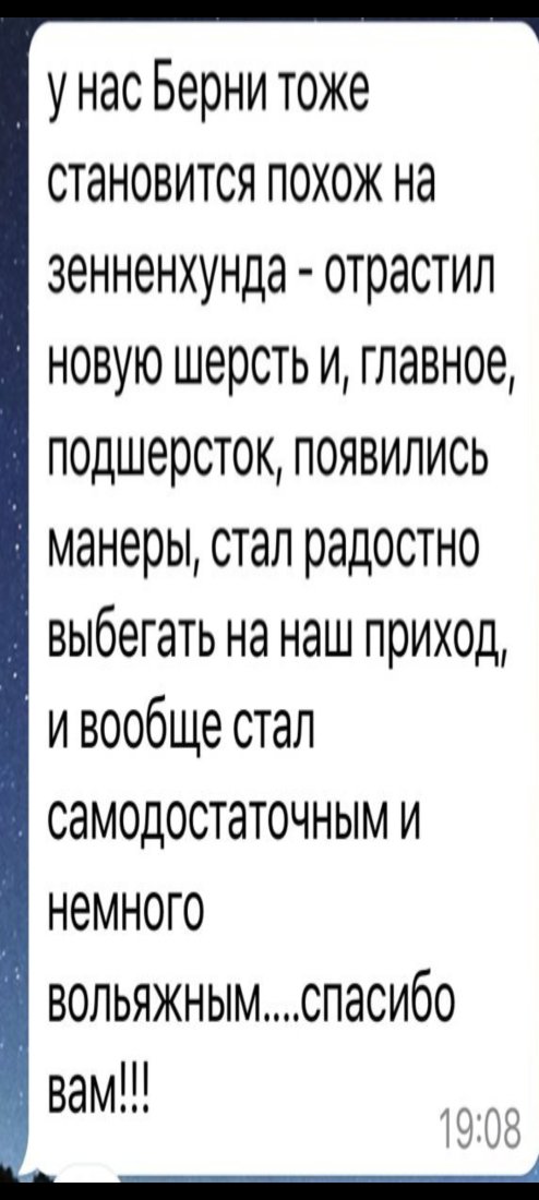 Screenshot_20240213_192633_WhatsApp.jpg