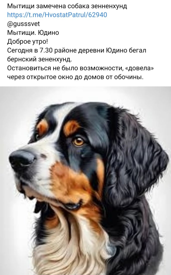 Screenshot_20240222_094252_VK.jpg