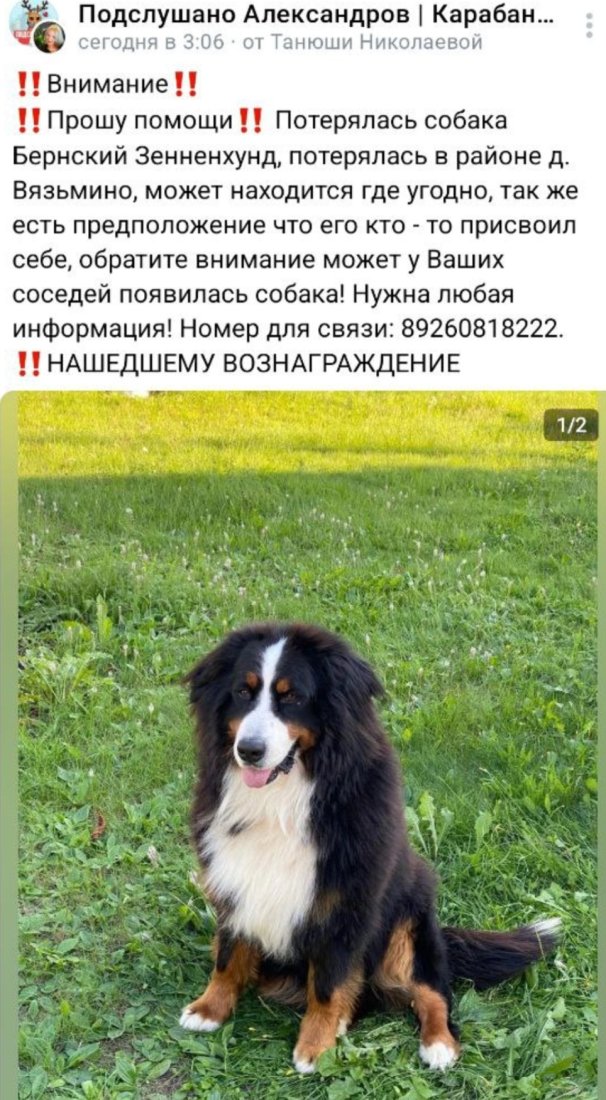 Screenshot_20240307_104244_Telegram.jpg