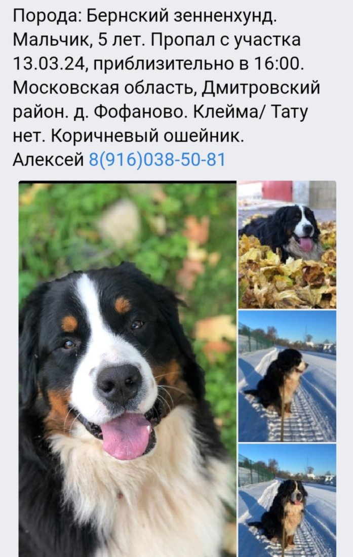 Screenshot_20240315_101147_VK.jpg