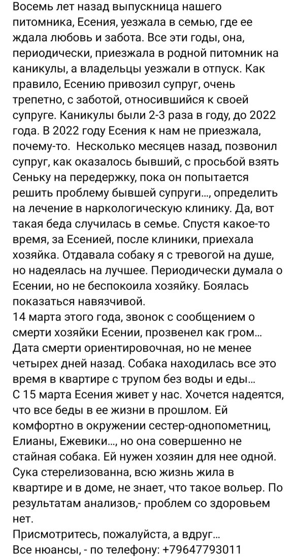 Screenshot_20240321_050905_VK.jpg