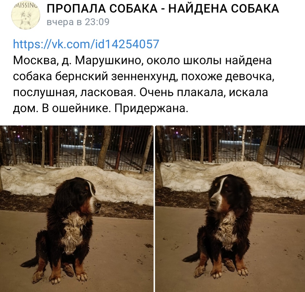 Screenshot_20240323_090746_VK.jpg