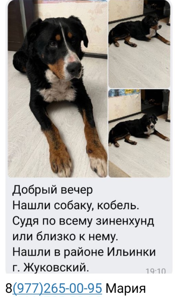 Screenshot_20240323_191739_Telegram.jpg