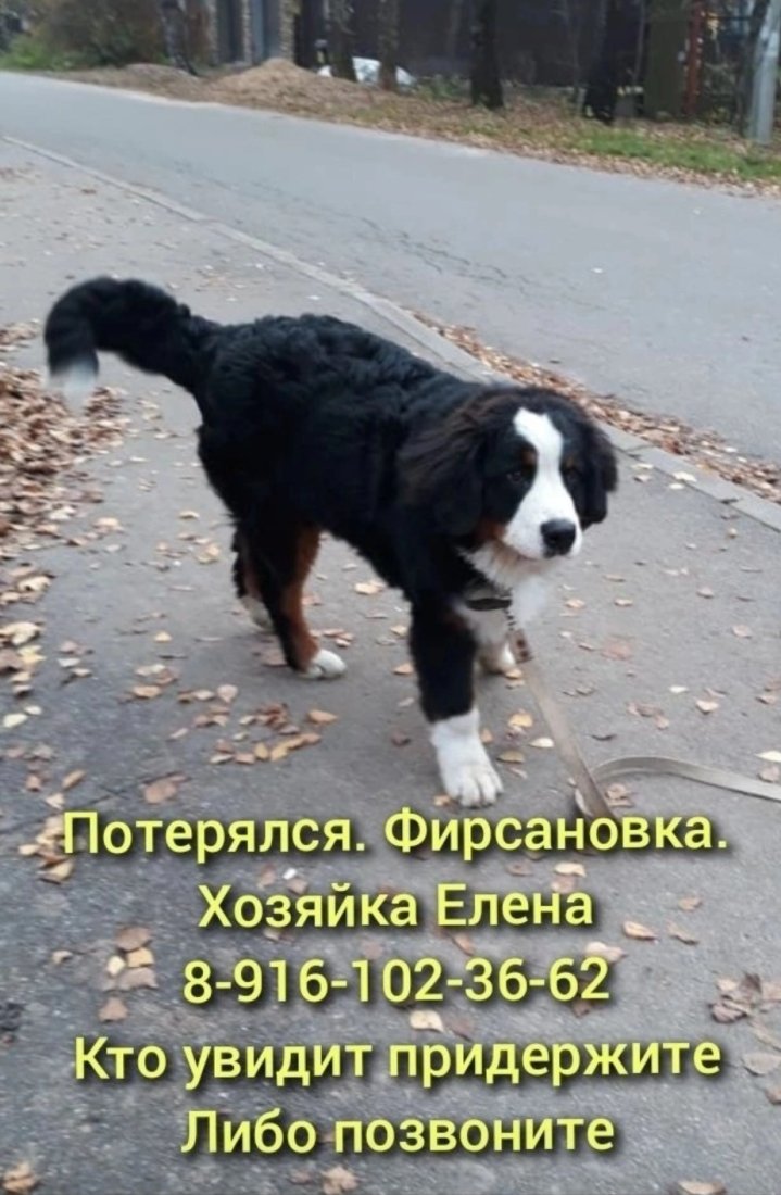 Screenshot_20240324_151228_VK.jpg