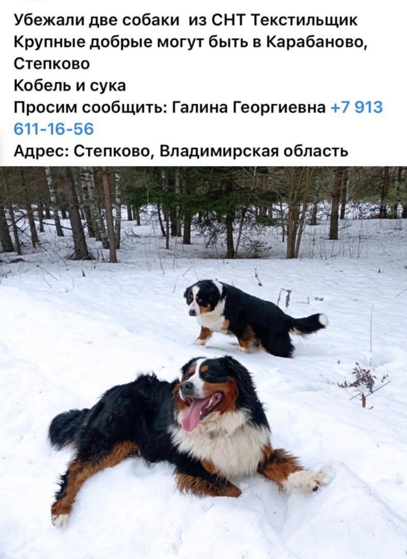 Screenshot_20240328_112902_WhatsApp.jpg