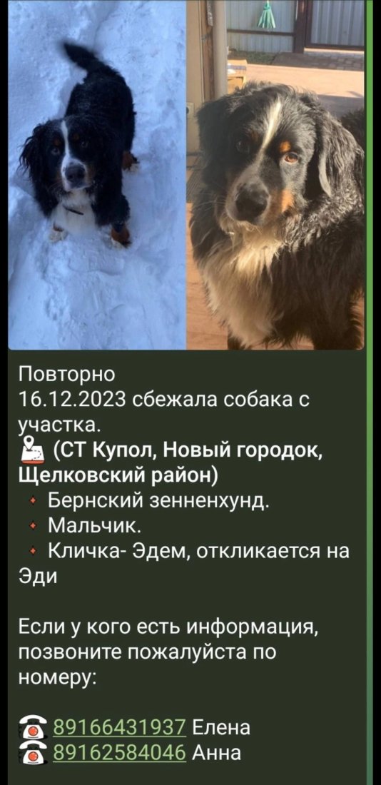 Screenshot_20240328_114545_VK.jpg