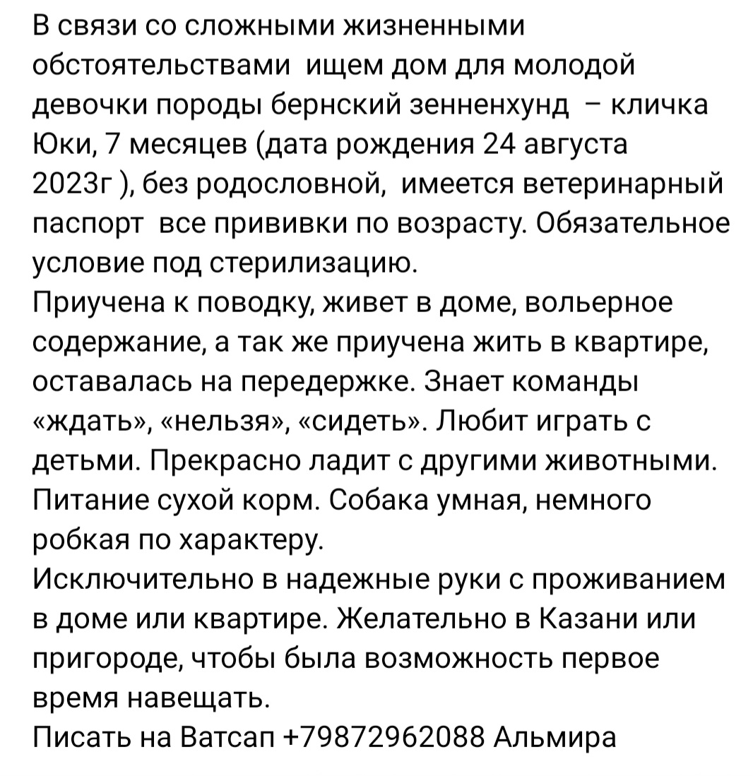 Screenshot_20240401_133956_VK.jpg