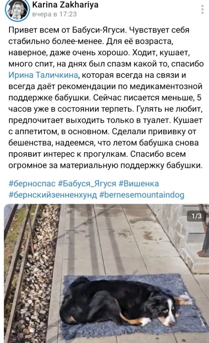 Screenshot_20240404_083413_VK.jpg