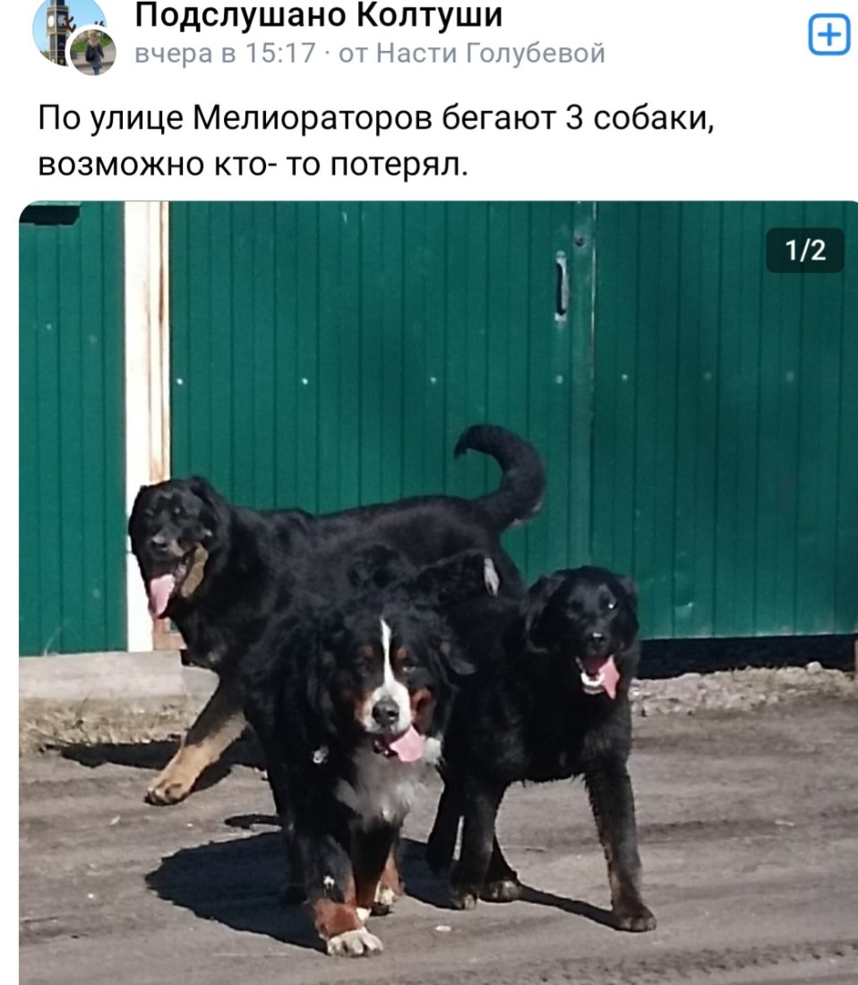 Screenshot_20240413_043430_VK.jpg