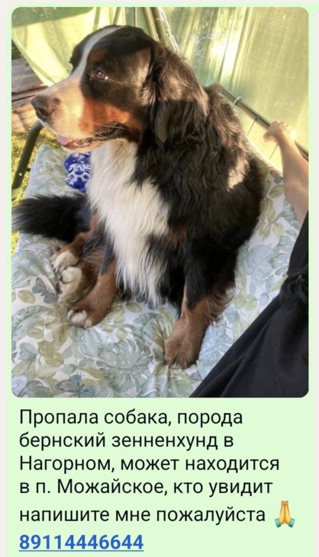 Screenshot_20250306_064745_WhatsApp.jpg