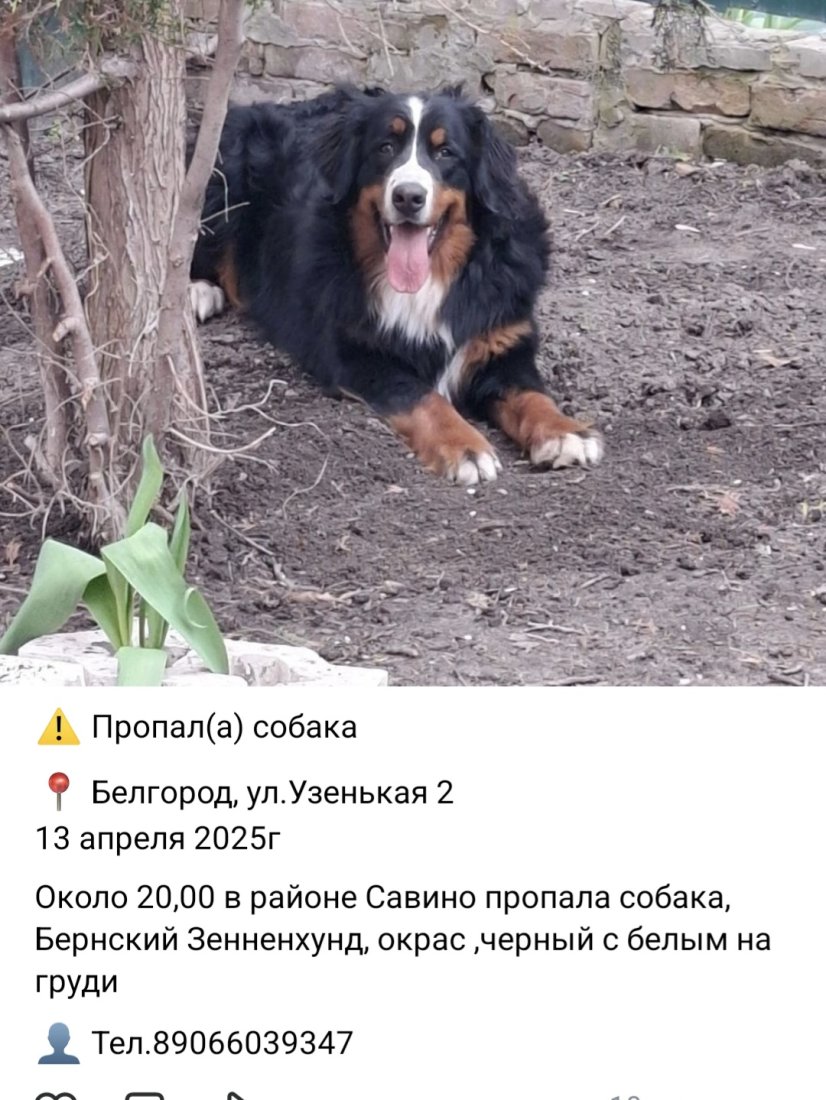 Screenshot_20250414_112057_VK.jpg