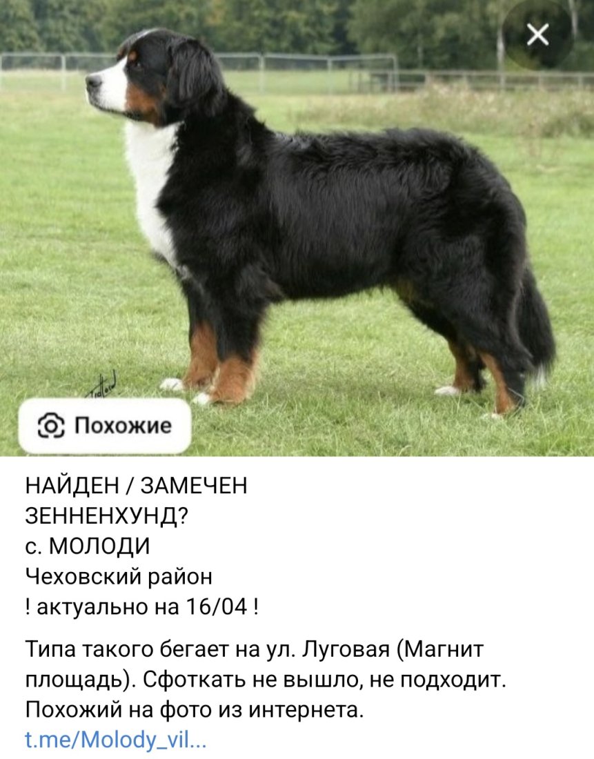 Screenshot_20250417_133628_VK.jpg