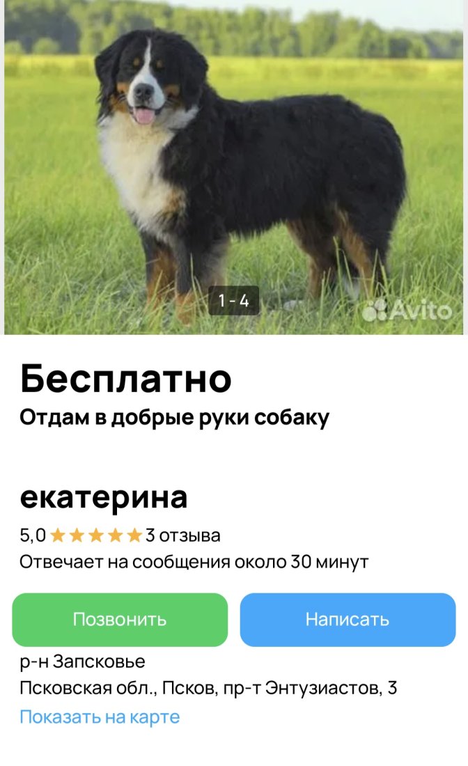 Screenshot_20250526_102556.jpg