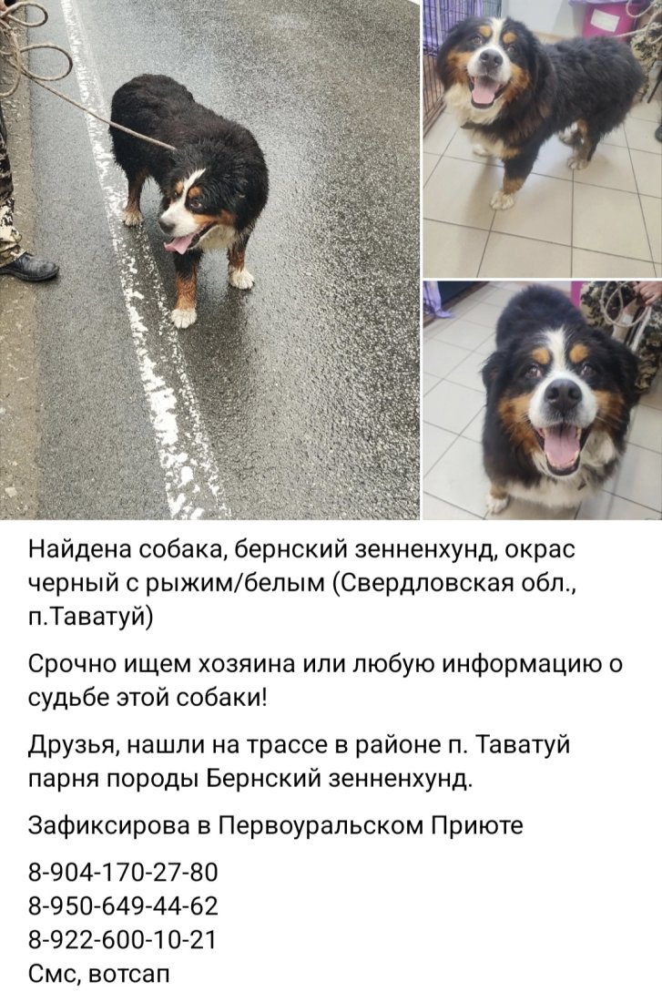 Screenshot_20250814_165432_VK.jpg