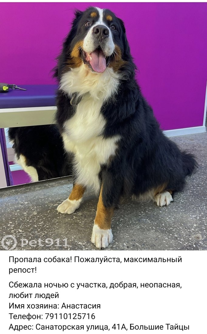 Screenshot_20250814_182055_VK.jpg