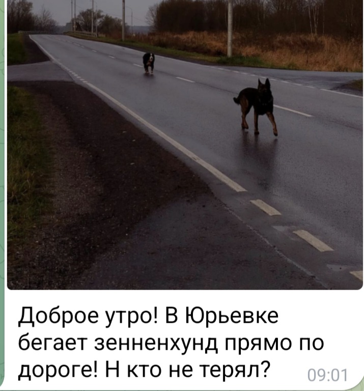 Screenshot_20251108_094741_Telegram.jpg