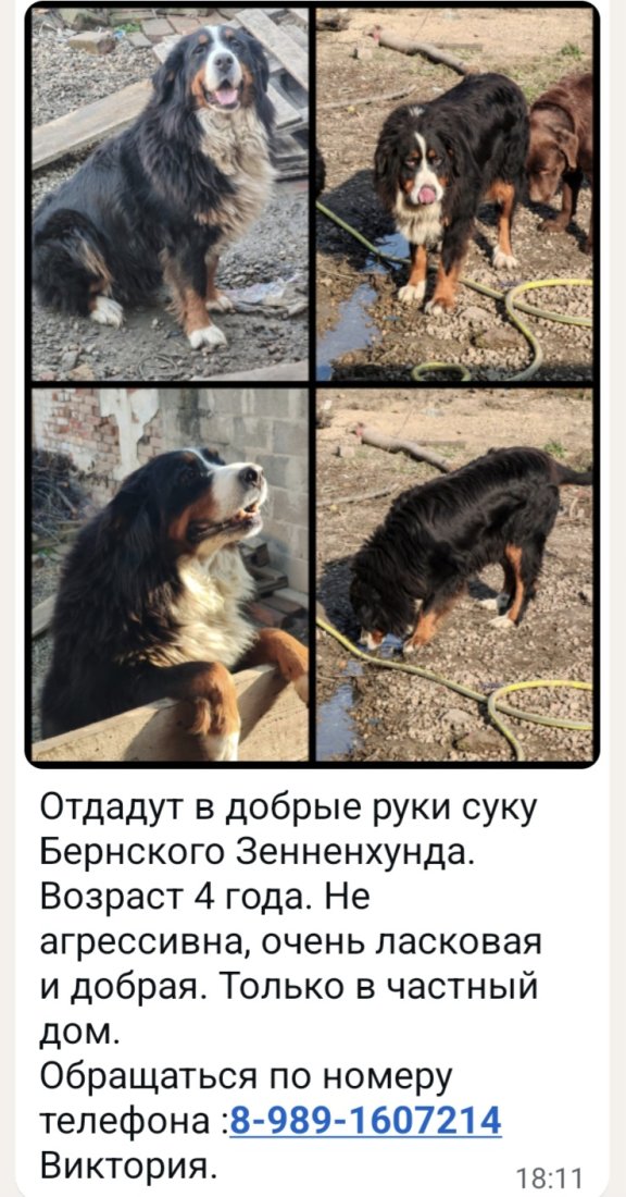 Screenshot_20251109_181638_WhatsApp.jpg