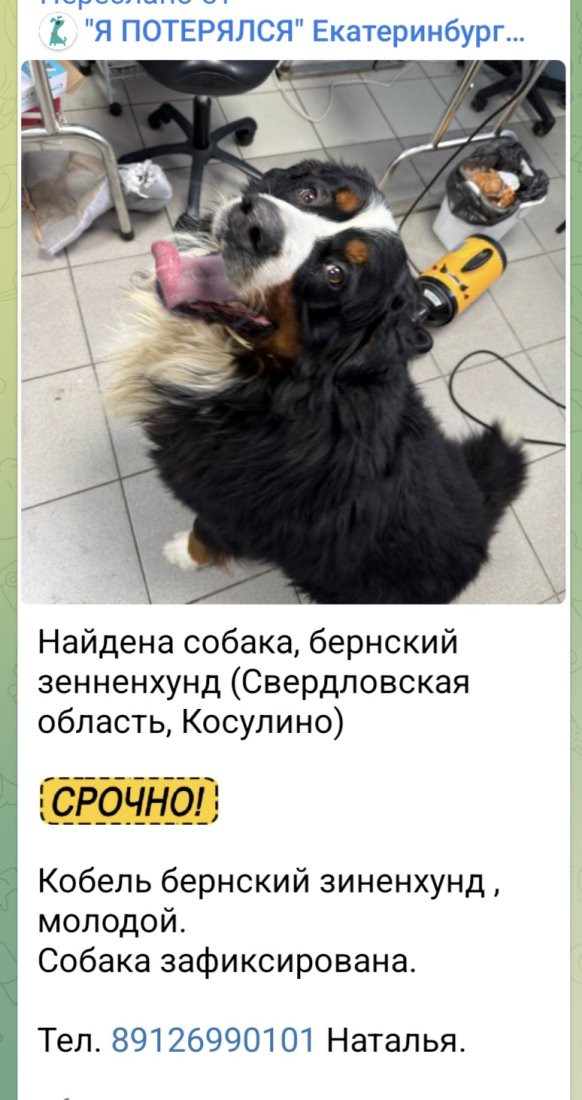 Screenshot_20260204_164308_Telegram.jpg