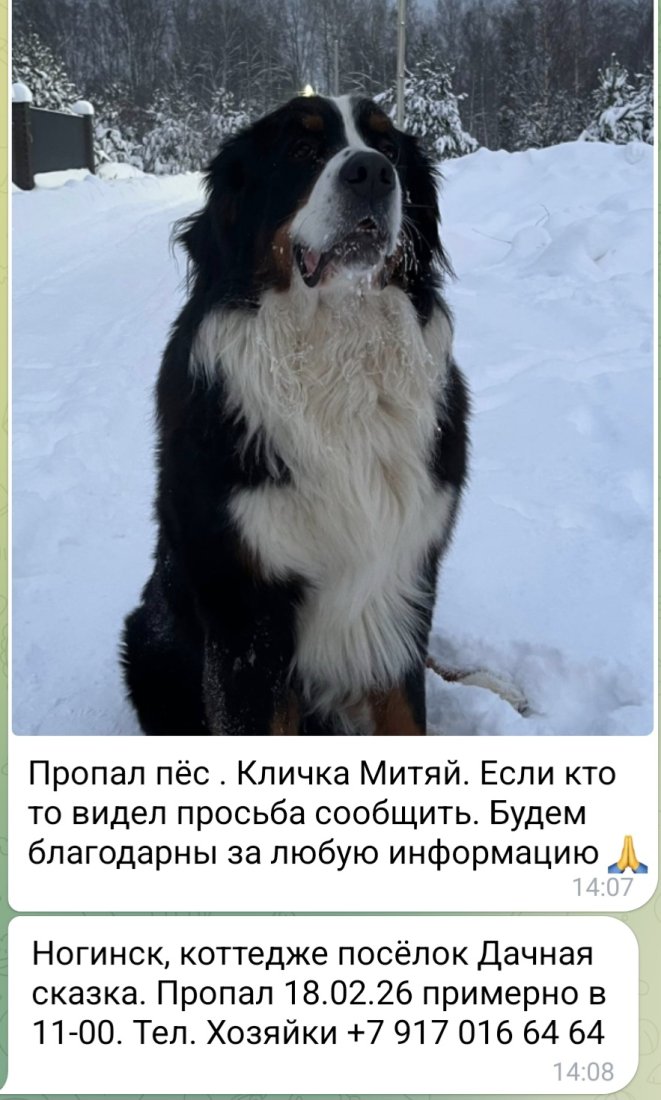 Screenshot_20260219_142325_Telegram.jpg