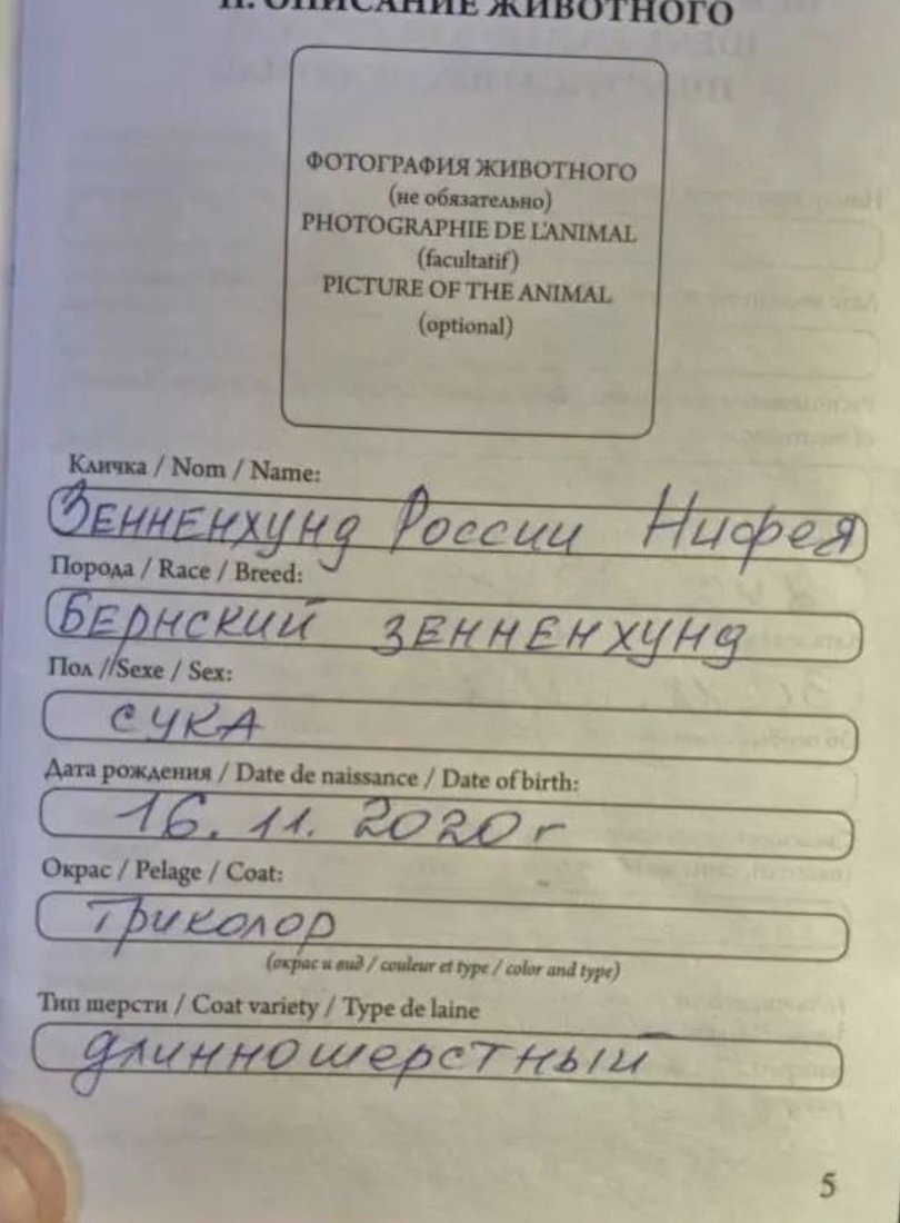 Screenshot_20260226_082947_VK.jpg