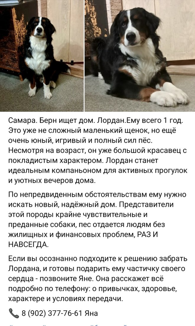Screenshot_20260309_191018_VK.jpg