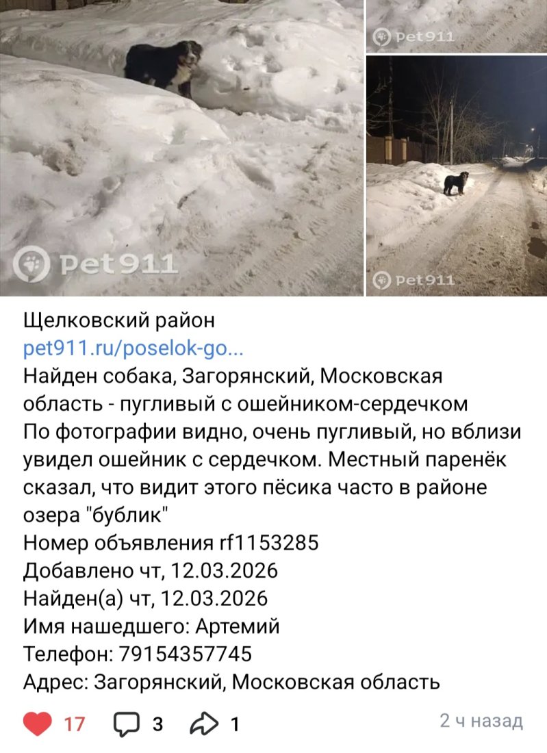 Screenshot_20260313_114406_VK.jpg