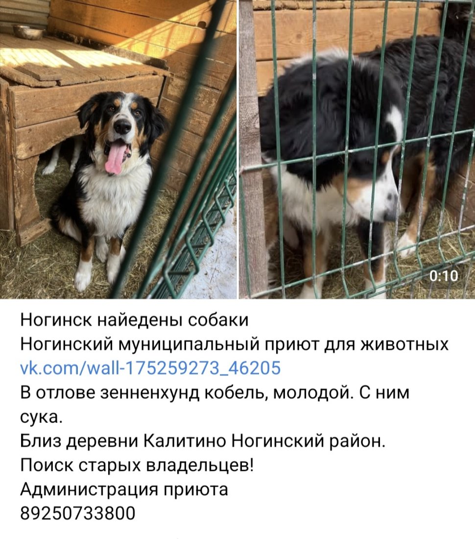 Screenshot_20260316_172231_VK.jpg