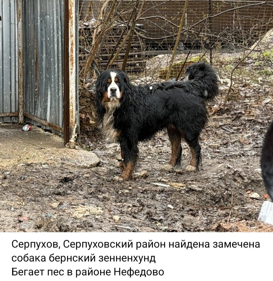 Screenshot_20260410_182851_VK.jpg