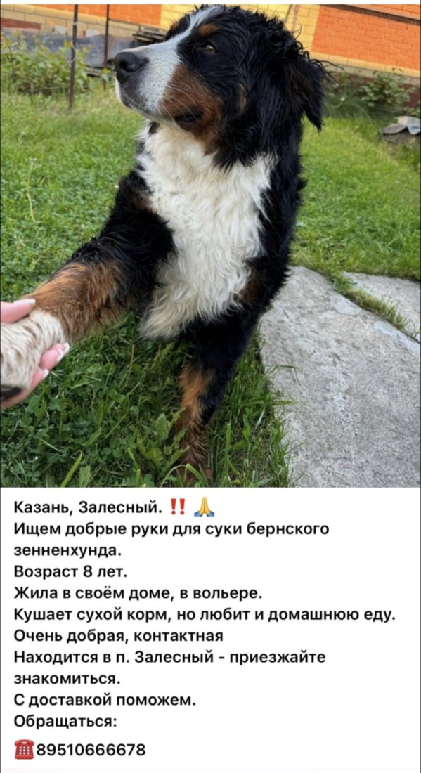 Screenshot_20260419_172615_VK.jpg