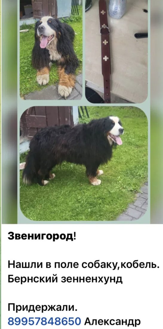 Screenshot_20260708_155135_VK.jpg