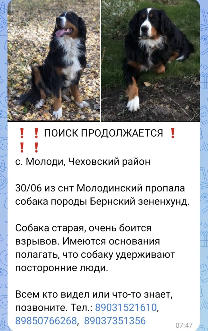 Screenshot_20260712_075155_VK.jpg