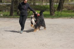 thumb_1c3c8c8b53.jpg
