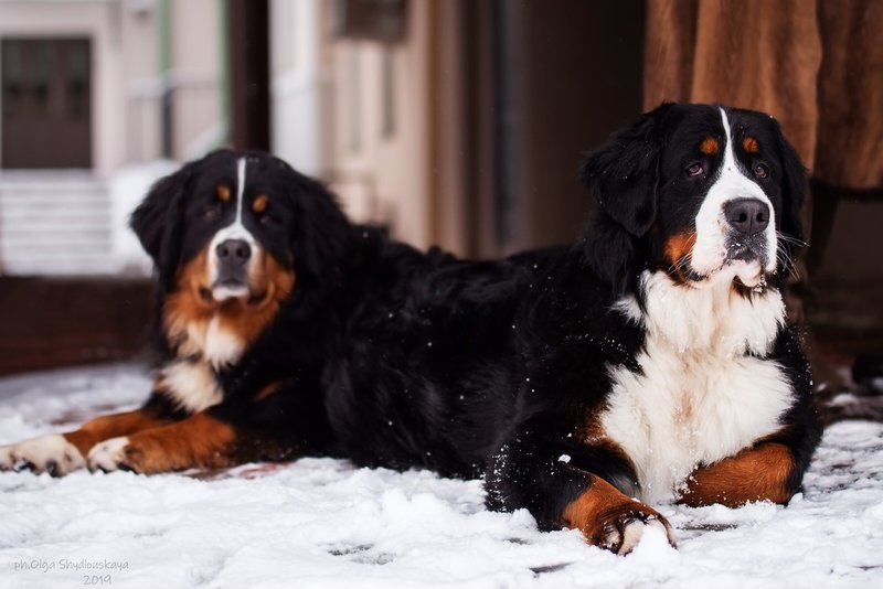 viber image.jpg