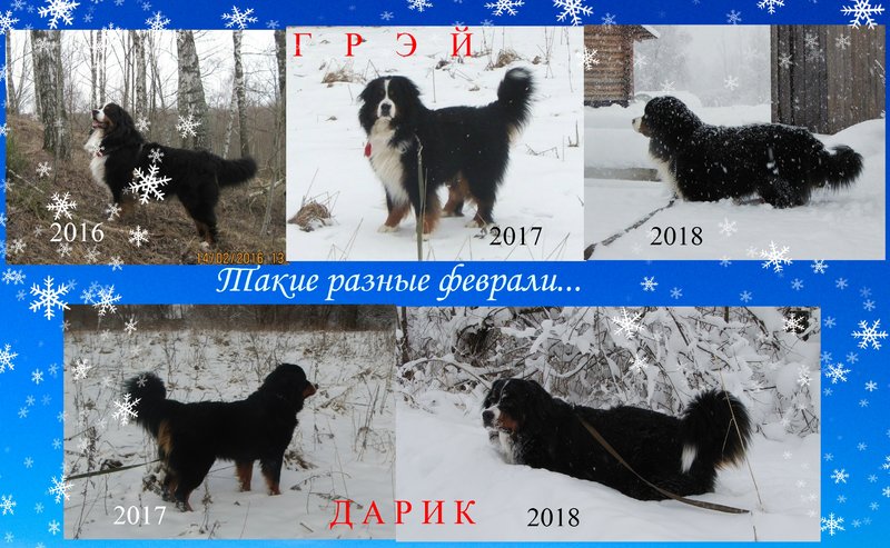 VipTalisman208.jpg