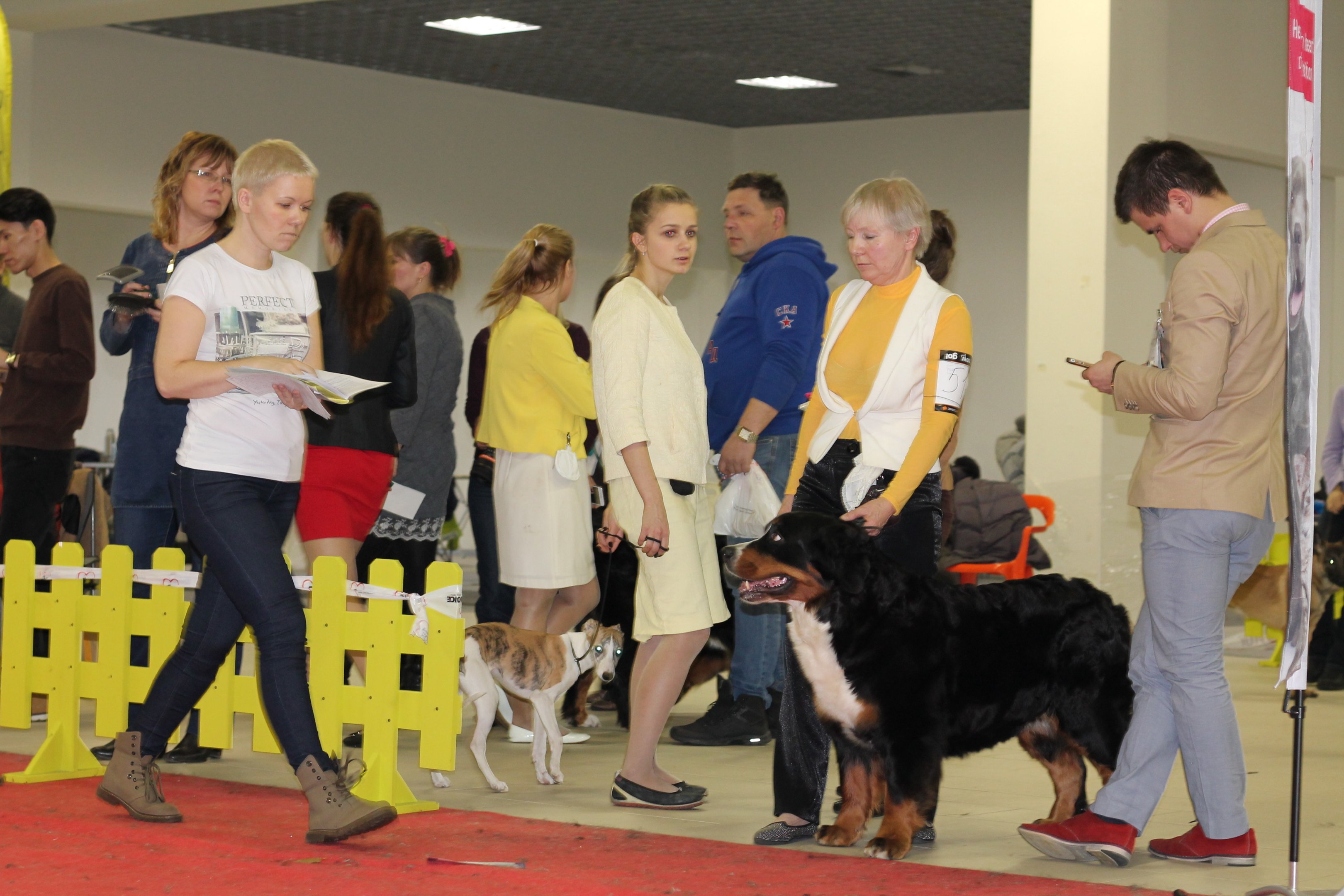 vjyrf 2017 034.JPG