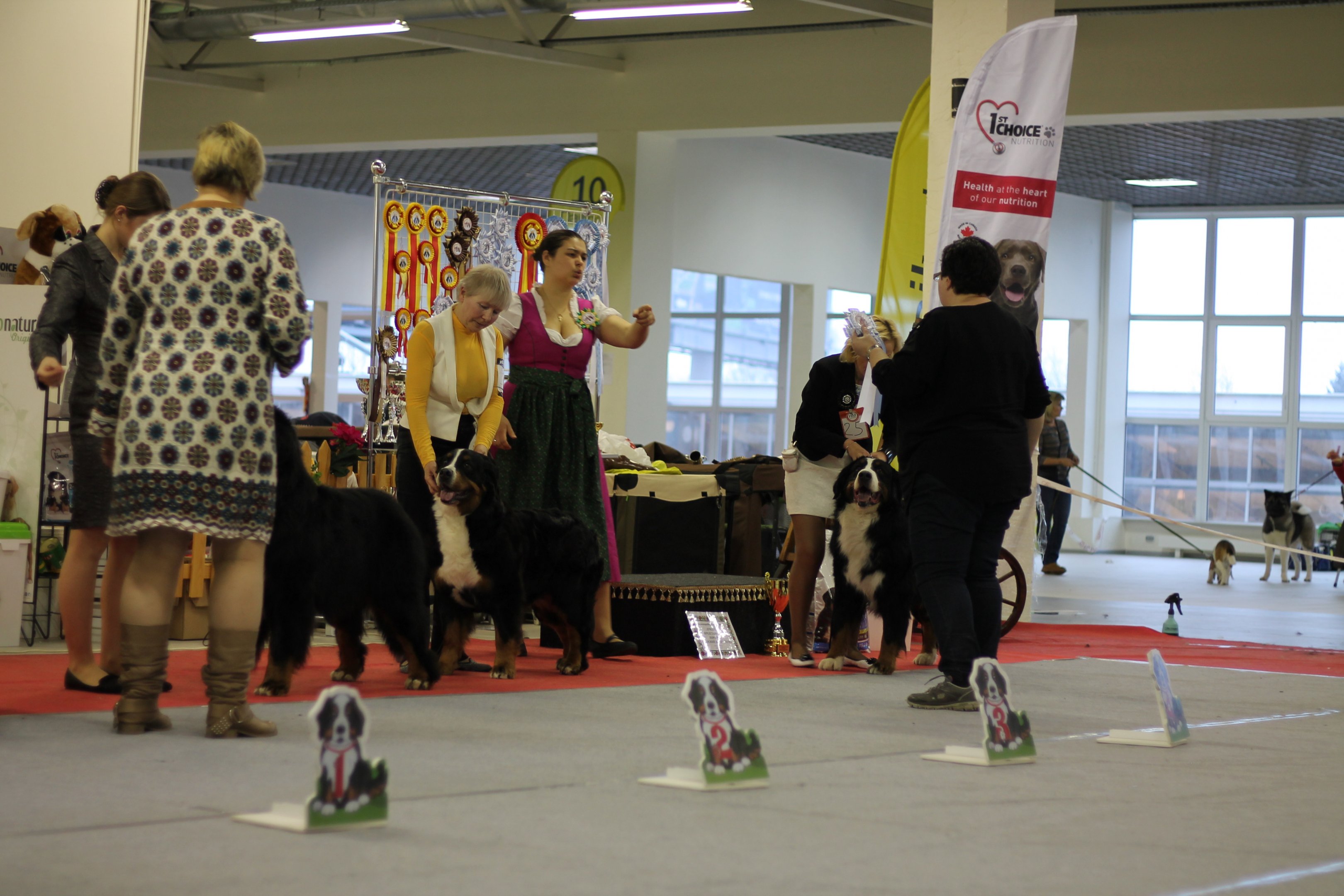 vjyrf 2017 062.JPG