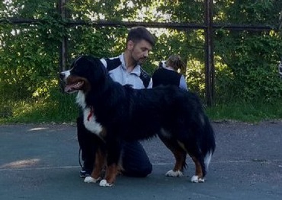 Z1-zeM3xLzM1.jpg