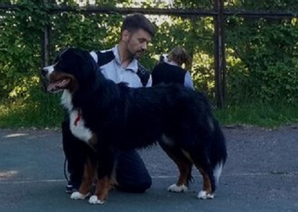 Z1-zeM3xLzM123.jpg