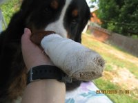 IMG_0200.JPG