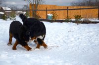 DSC_8668.JPG
