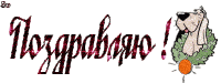 136574472468408030.gif