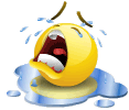 6a9fdbe8b9bc.gif