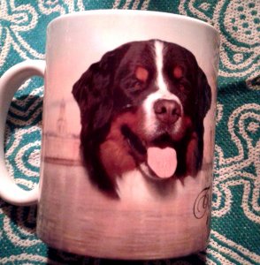 20161210_205048.jpg